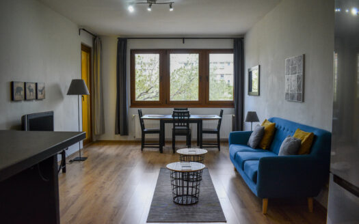 Cozy and spacious 1 bedroom apartment with terrace by the Danube, district 13