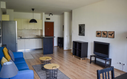 Cozy and spacious 1 bedroom apartment with terrace by the Danube, district 13