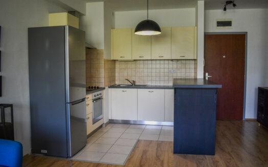 Cozy and spacious 1 bedroom apartment with terrace by the Danube, district 13