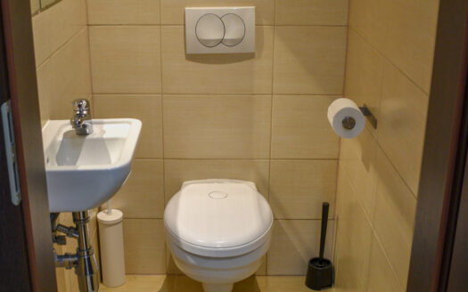 Cozy and spacious 1 bedroom apartment with terrace by the Danube, district 13