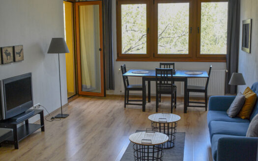 Cozy and spacious 1 bedroom apartment with terrace by the Danube, district 13