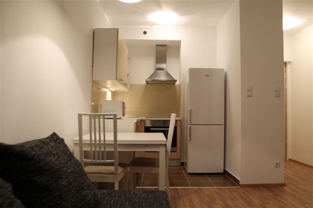 Budapest apartment in Corvin