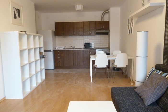 one bedroom apartment in Budapest