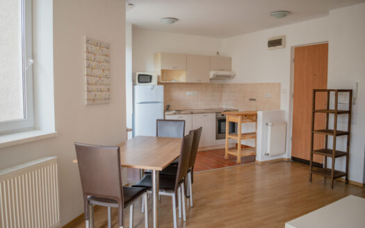 Spacious and bright one bedroom apartment for rent near the M2 metro with balcony!