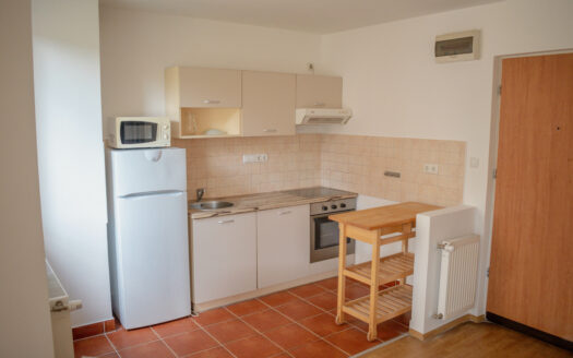 Spacious and bright one bedroom apartment for rent near the M2 metro with balcony!