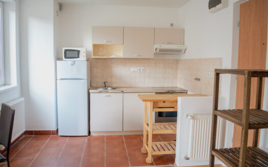 Spacious and bright one bedroom apartment for rent near the M2 metro with balcony!